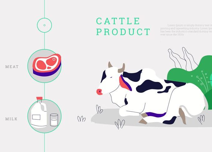 fresh-product-from-cattle-farm-vector-illustration